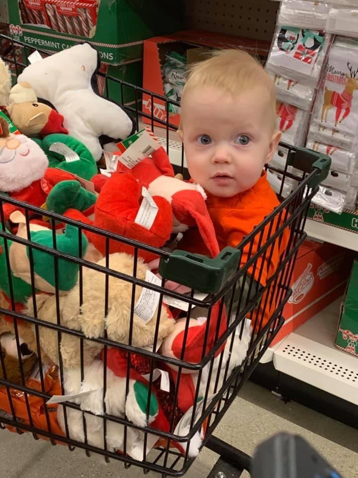 A small toddler in a cart filled with stuffed animals